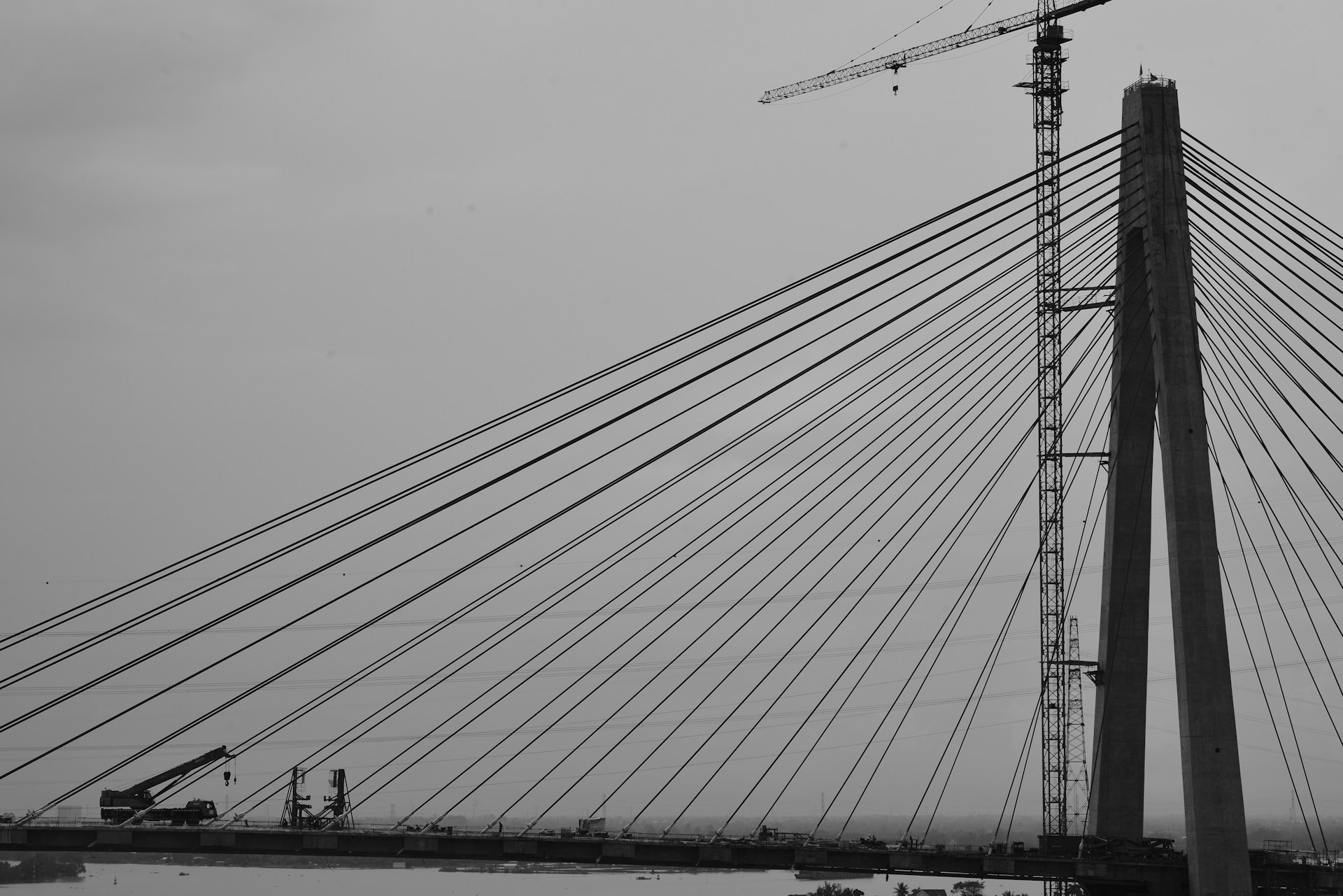 Trust in 2026: Business as a bridge builder